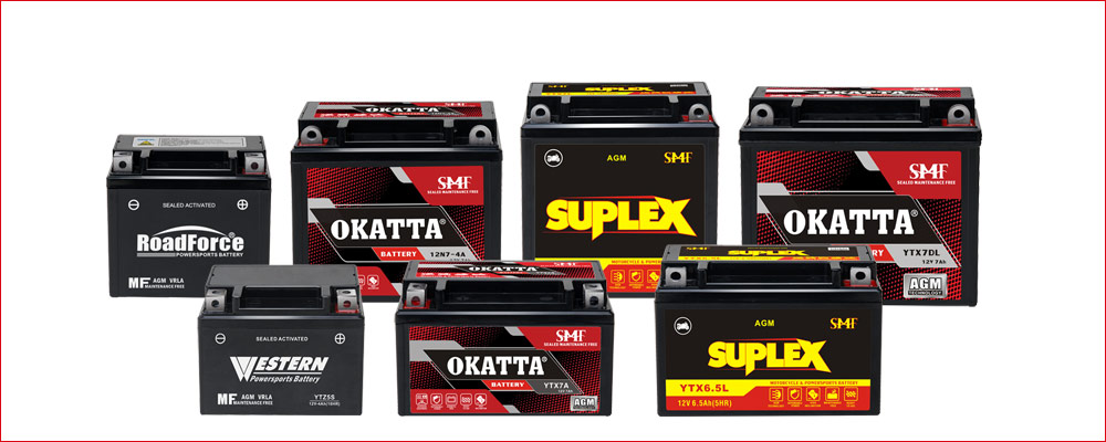 AGM SMF Battery Series