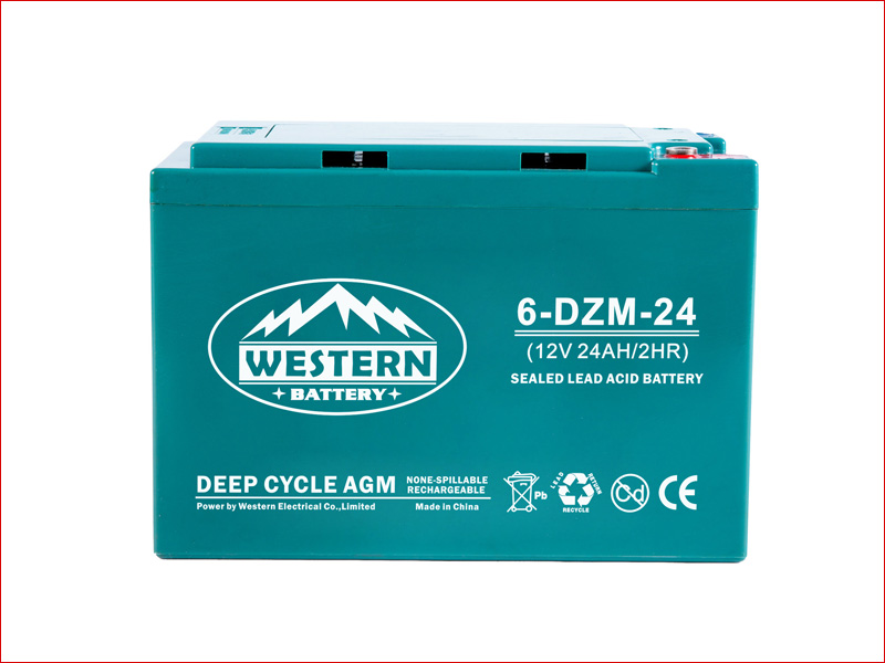  DZM Electric Scooter Battery 24Ah