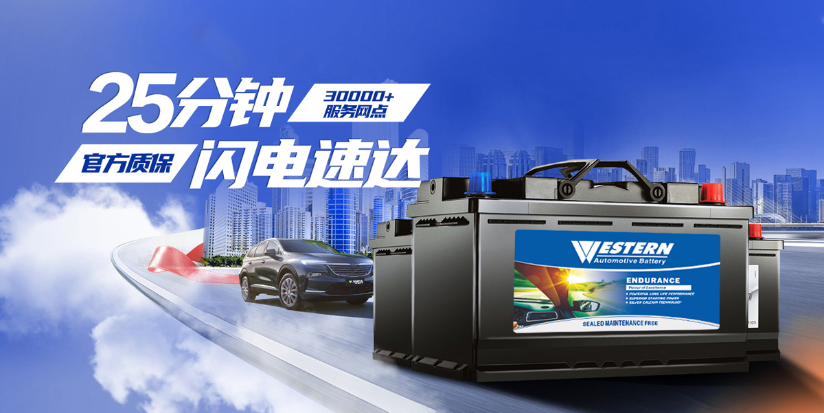 WESTERN AUTOMOTIVE BATTERY.jpg